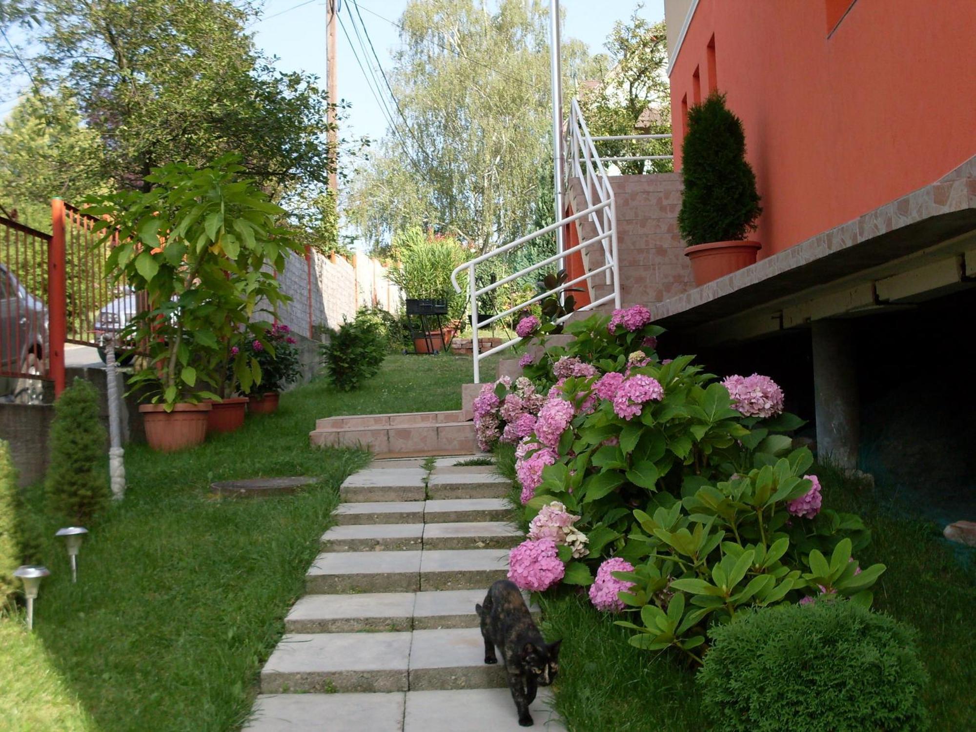 Eden Vendeghaz Hotel Mişcolţ Exterior foto